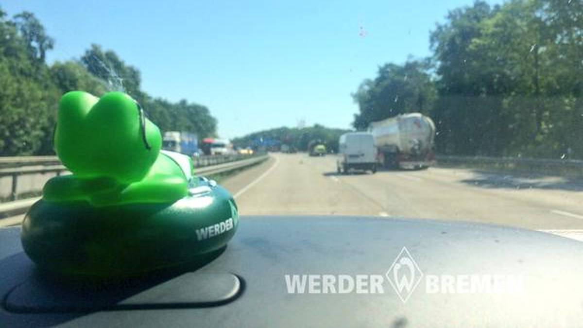 Ab ins Trainnigslager! Die Bundesligisten ziehen los, um sich auf die neue Saison vorzubereiten. Der Bremer Frosch Otto hat sich für die Fahrt den Platz mit der besten Sicht geschnappt