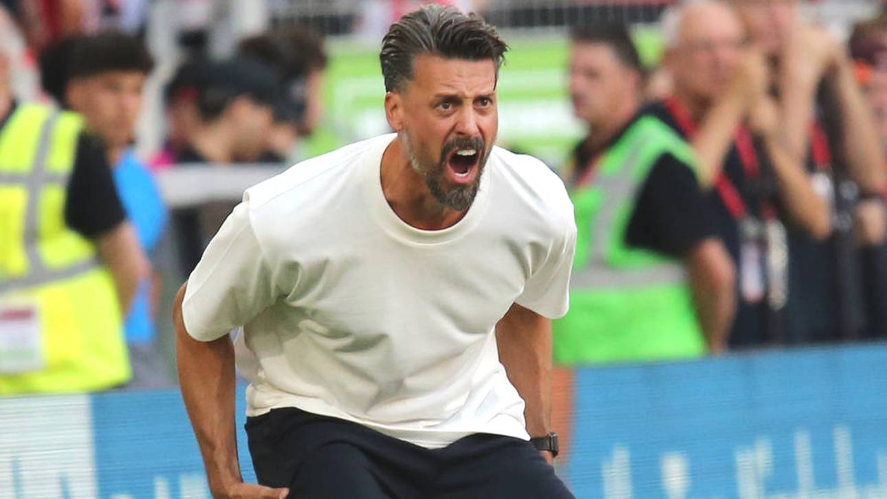 Wagner ordnet Emotions-Ausbruch ein