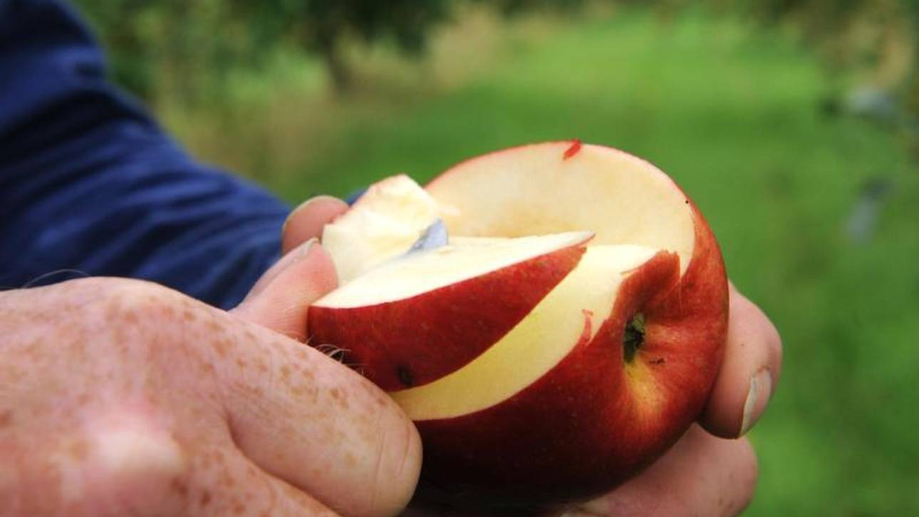 Das hilft Rauchern und Trinkern