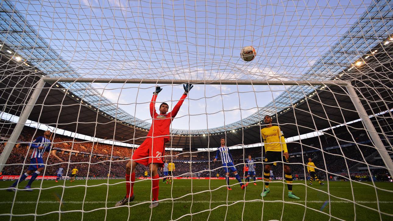 Neuer Rasen für Berliner Olympiastadion