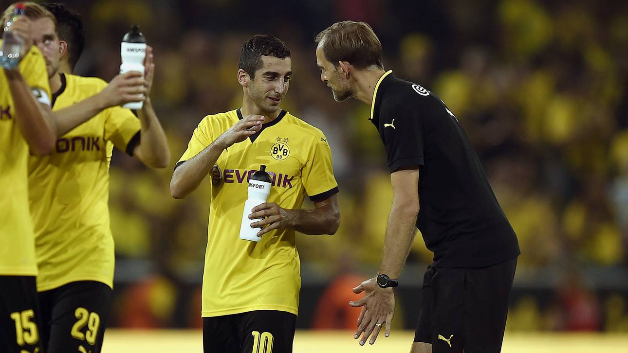 Liebkosungen für das neuerweckte Genie