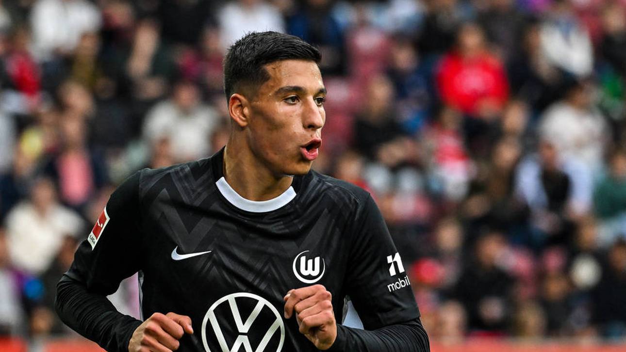 Hoffenheim holt Touré-Ersatz