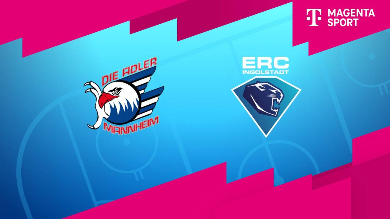 DEL greift nach Prügel-Eklat durch