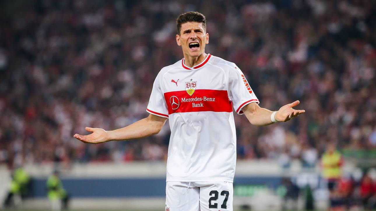 Kampfansage nach VfB-Dämpfer