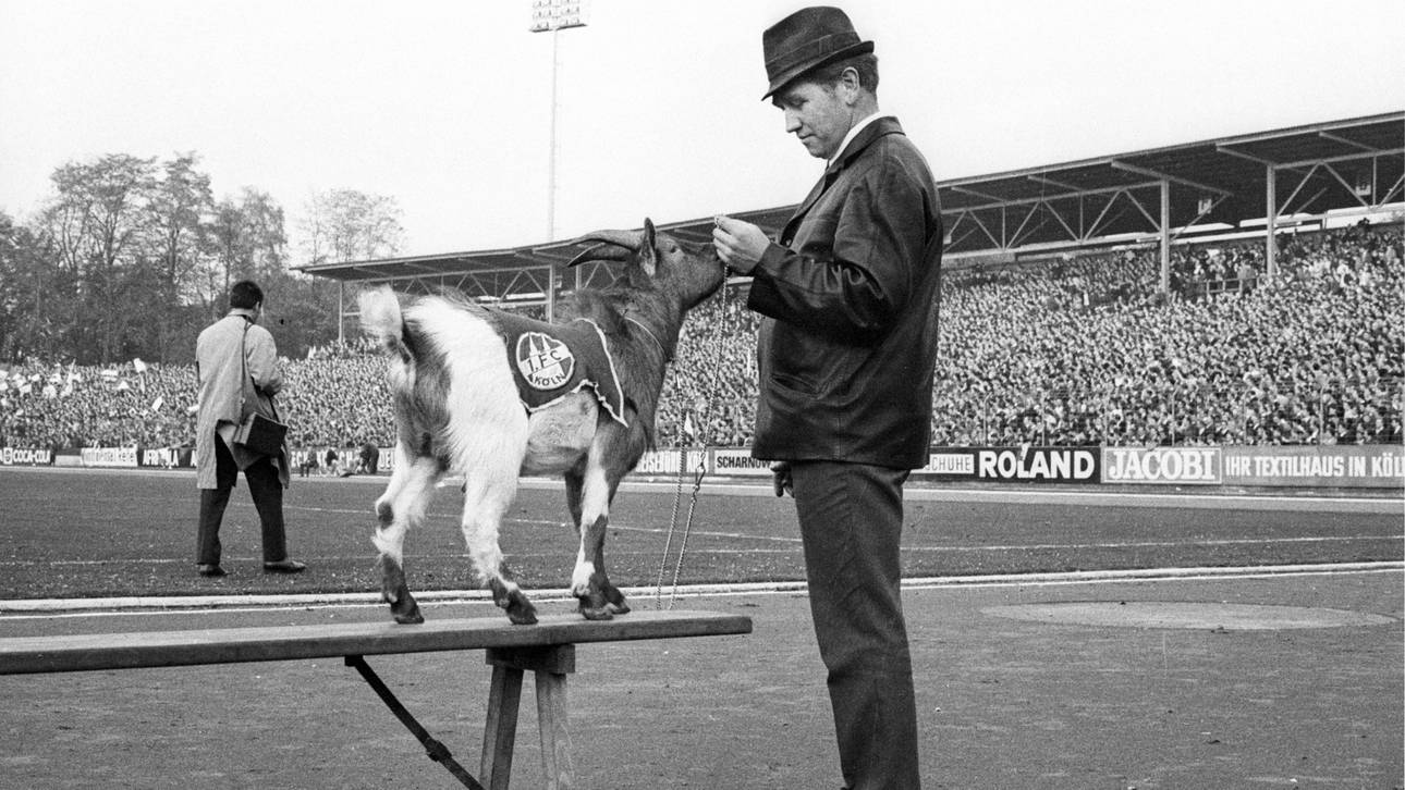 FC nimmt Hennes I. in Hall of Fame auf