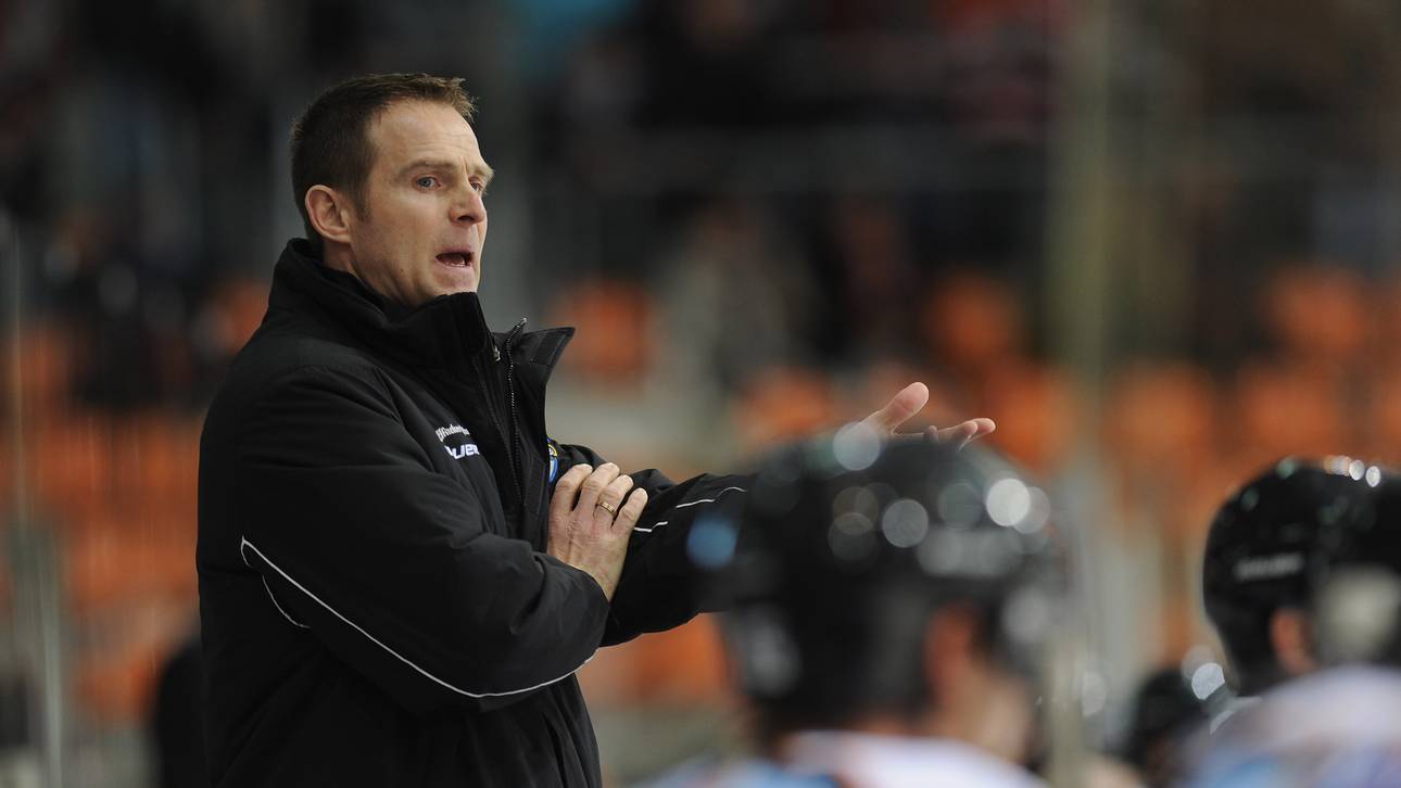 Wild Wings verpflichten Hunkes