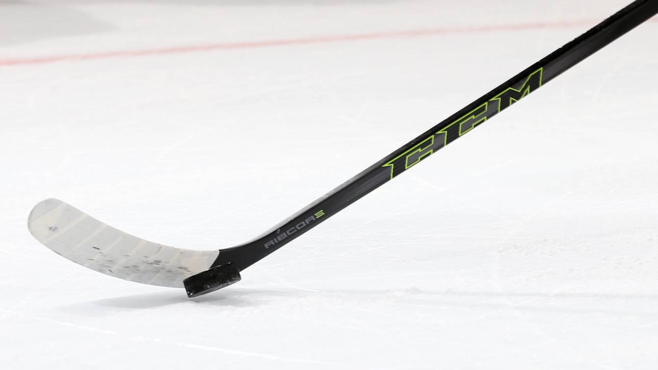 Fix: DEL führt Auf- und Abstieg ein