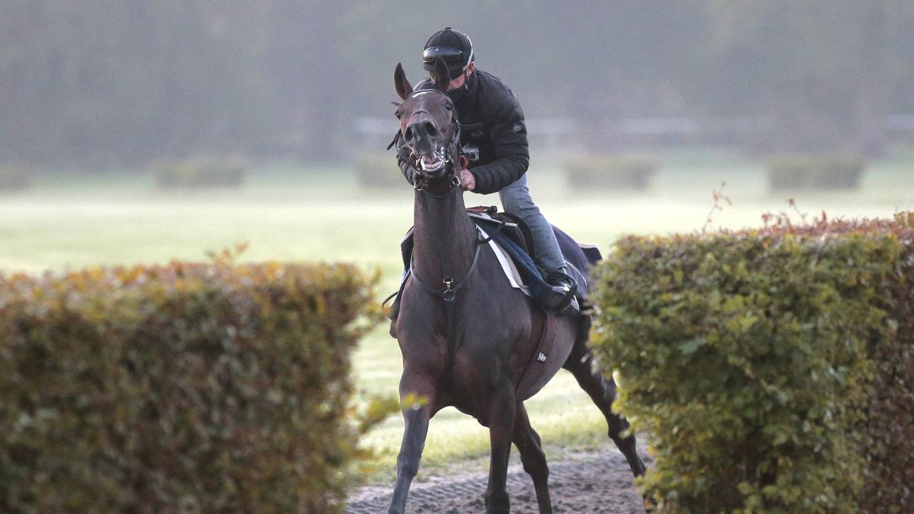 Treve peilt historischen Coup an