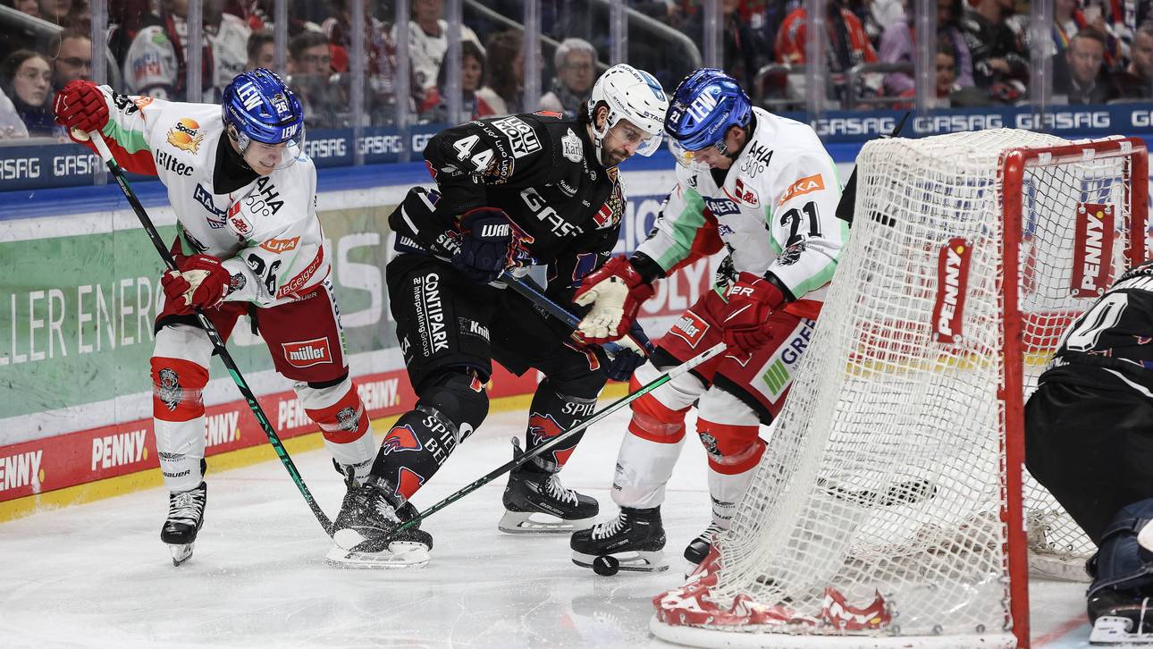 Eisbären festigen Platz eins