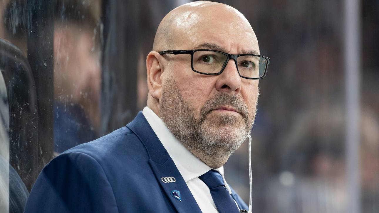 Eisbären verkünden Neuzugang