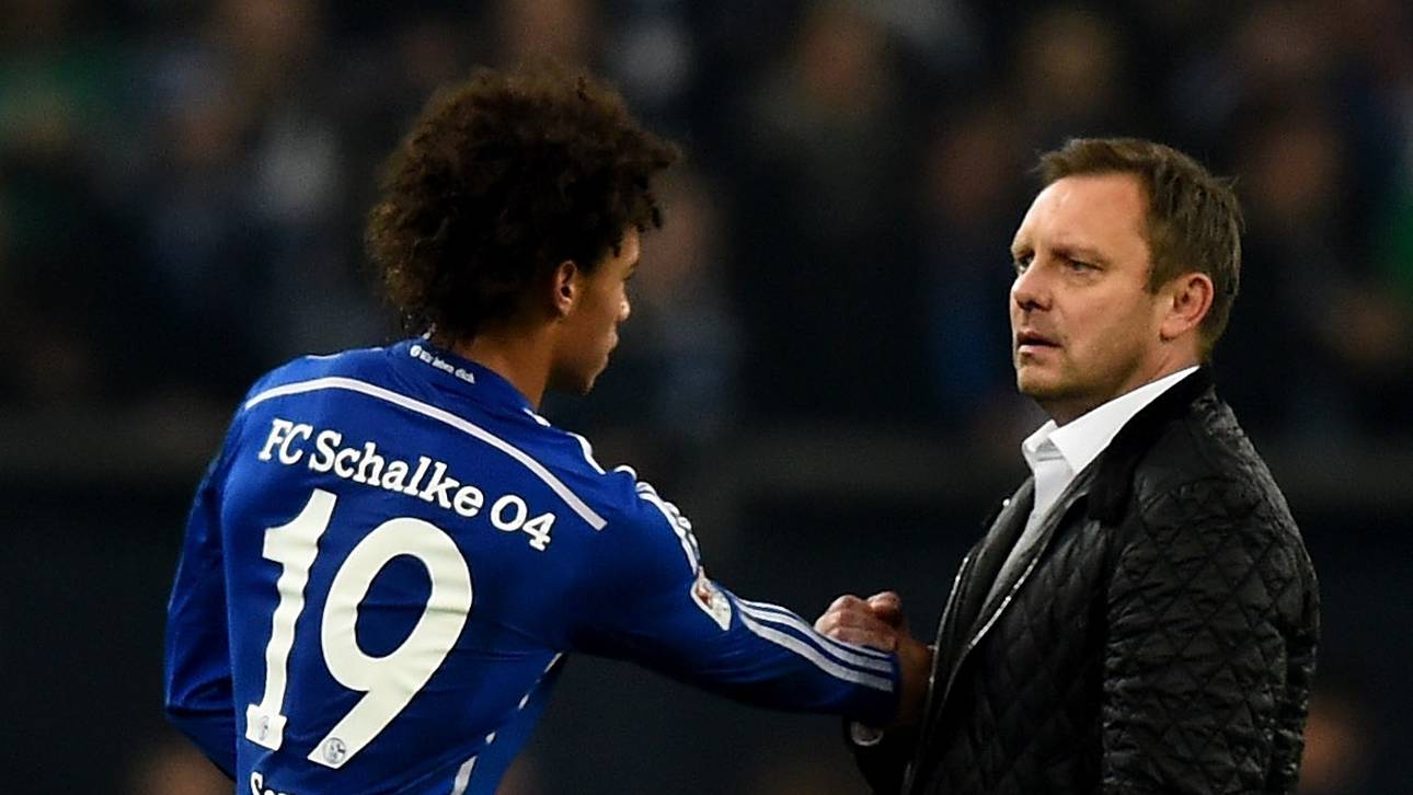 Breitenreiter: Sind wachsam bei Sane