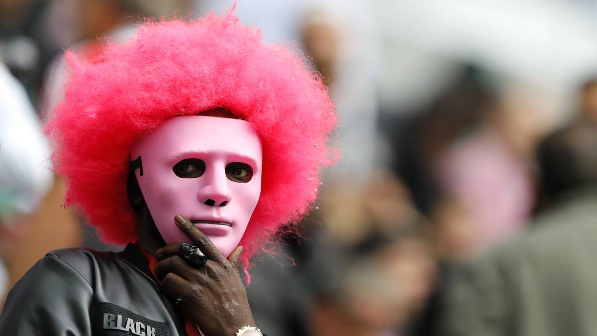 Dieser Fan bekennt Farbe - allerdings zu keiner Nation