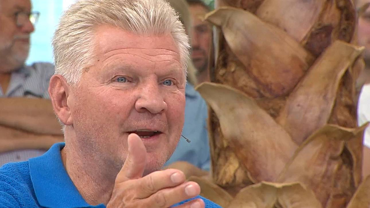 WM-Skandal: Effenberg spricht von „Korruption“