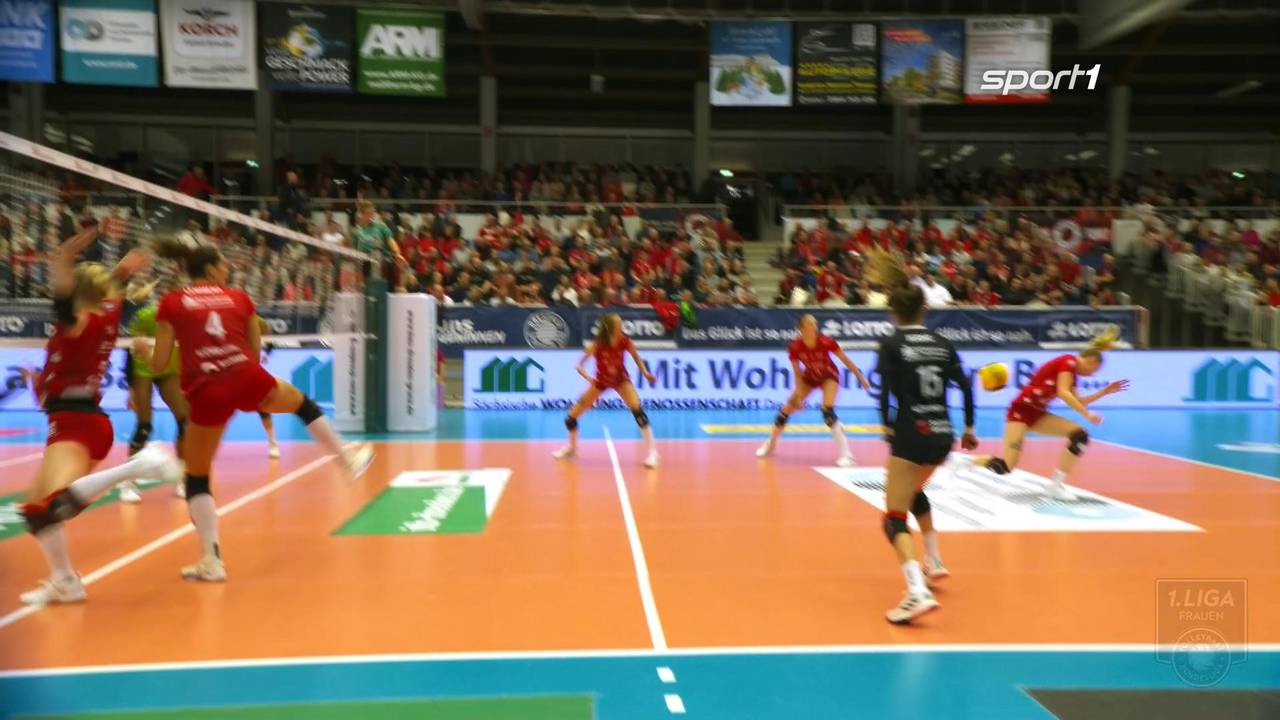 Der Dresdner SC ist klarer Favorit jedoch liefert Aachen einen großen Kampf