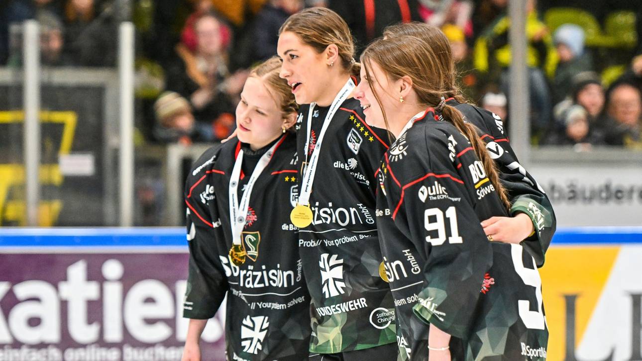 Eishockeyliga wird aufgestockt