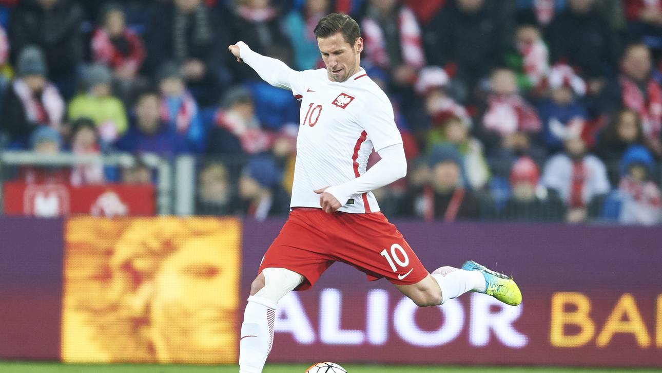 Krychowiak steigt ins Teamtraining ein