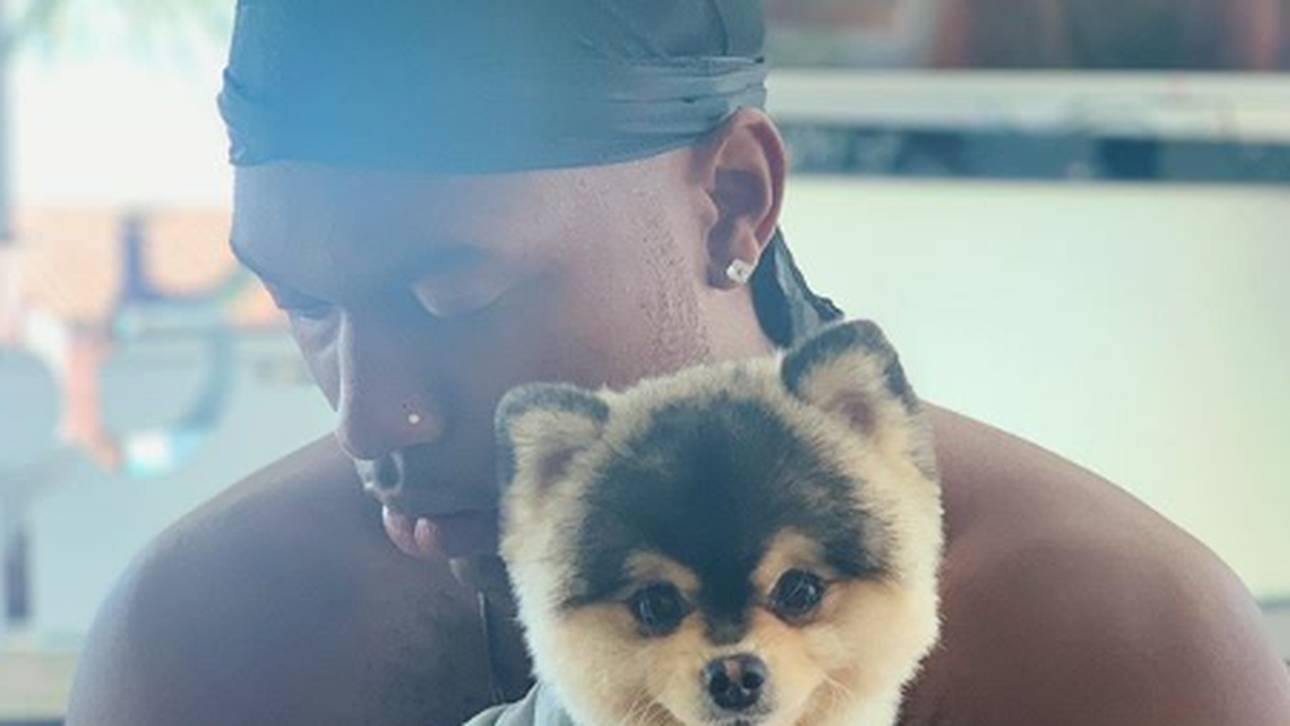 Hund entführt? Sturridge in Sorge