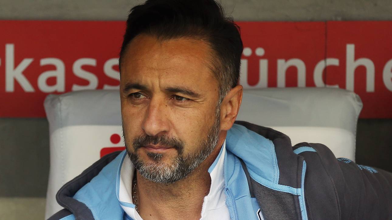 Pöbel-Affäre: Pereira will helfen