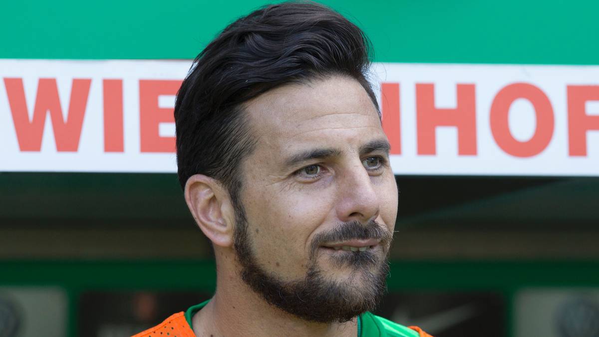 CLAUDIO PIZARRO (38 Jahre): Der Bremer Publikumsliebling spielte in den Kaderplanungen von Trainer Alexander Nouri keine Rolle mehr und erhielt deshalb keinen neuen Vertrag