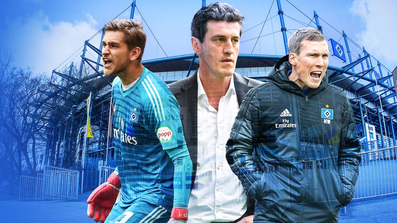 Todt: Darum verwundert mich Arp