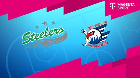 Bietigheim Steelers - Adler Mannheim: Tore und Highlights | PENNY DEL