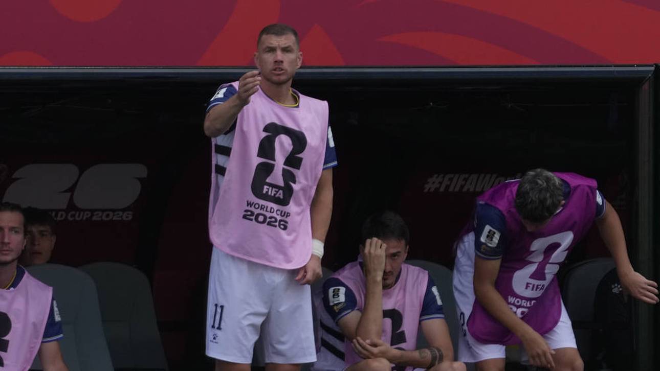Barbarez lässt Dzeko-Einsatz offen