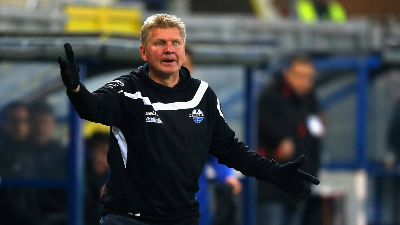 Effenberg Kandidat bei Hannover?