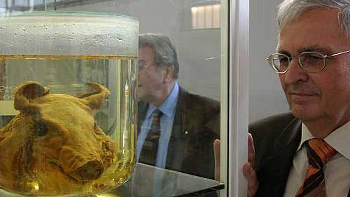 Das wohl ungewöhnlichste Wurfgeschoss der Fußball-Geschichte wird konserviert und ausgestellt. Hier begutachtet der frühere DFB-Präsident Theo Zwanziger das Exponat