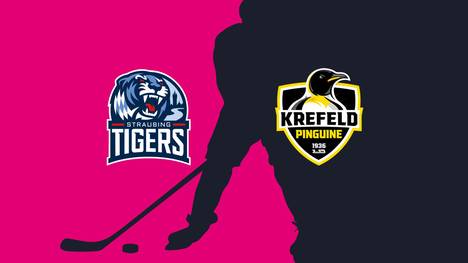 Straubing Tigers - Krefeld Pinguine: Tore und Highlights | PENNY DEL