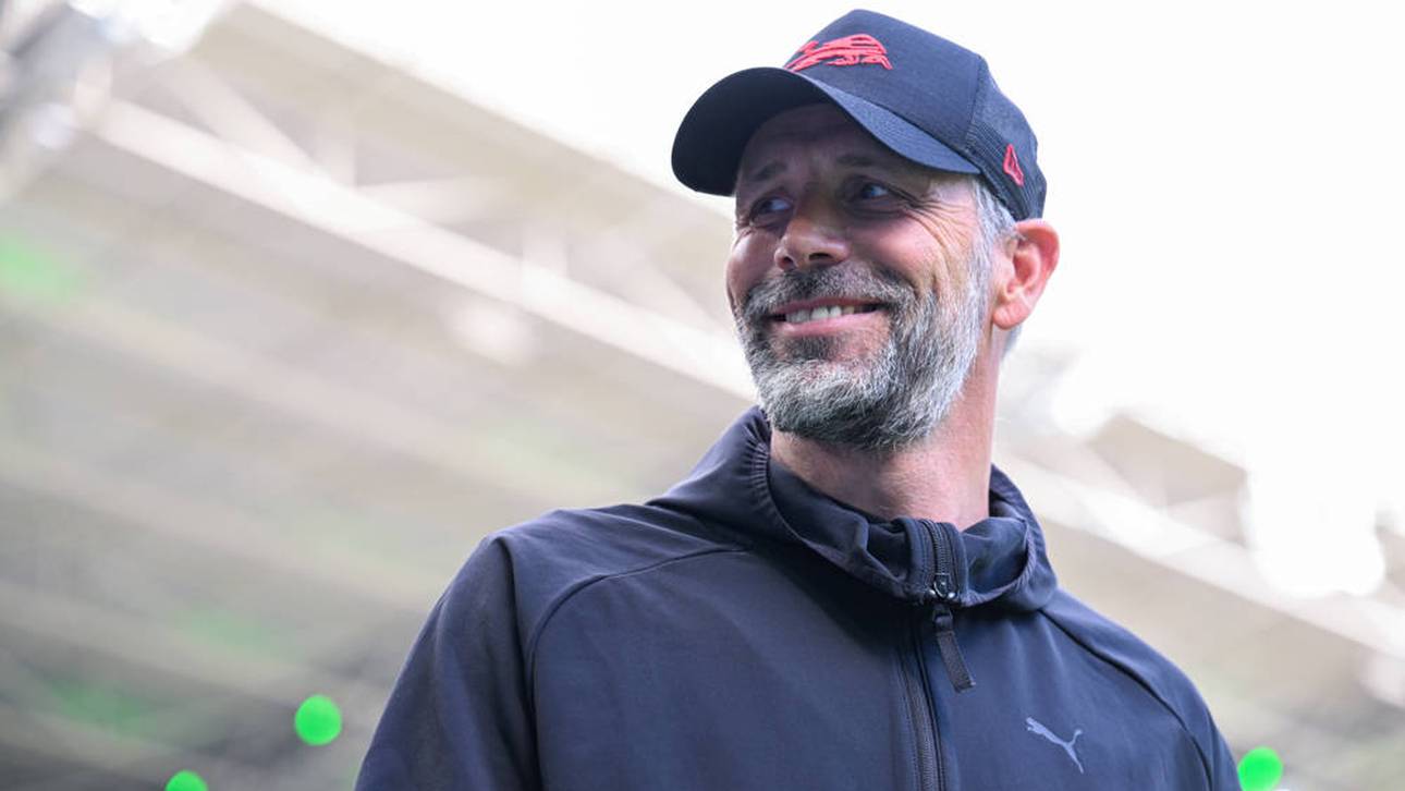 Rose? „Er passt wirklich überallhin“