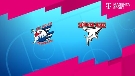 Adler Mannheim - Kölner Haie: Tore und Highlights | PENNY DEL