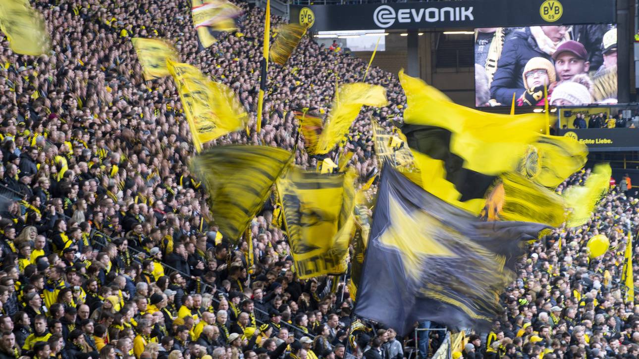 Klubs einigen sich auf Fan-Konzept