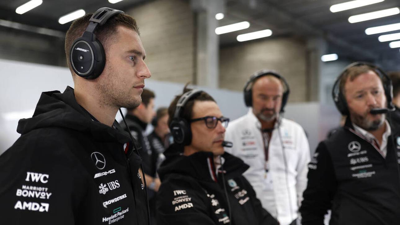 Neuer Teamkollege für Alonso