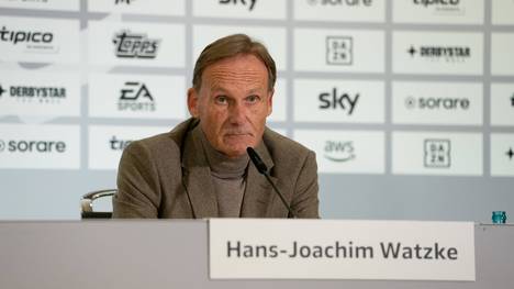 Die beiden Bundesliga-Manager Axel Hellmann von Eintracht Frankfurt und Oliver Leki vom SC Freiburg werden die Deutsche Fußball Liga nach dem Aus für die bisherige Chefin Donata Hopfen interimsweise als Doppelspitze bis zum 30. Juni 2023 führen.