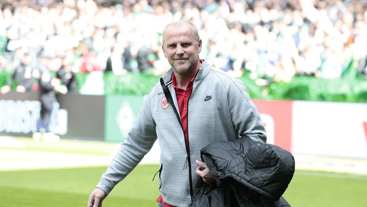 Passt Thomas Schaaf zu Hannover 96?