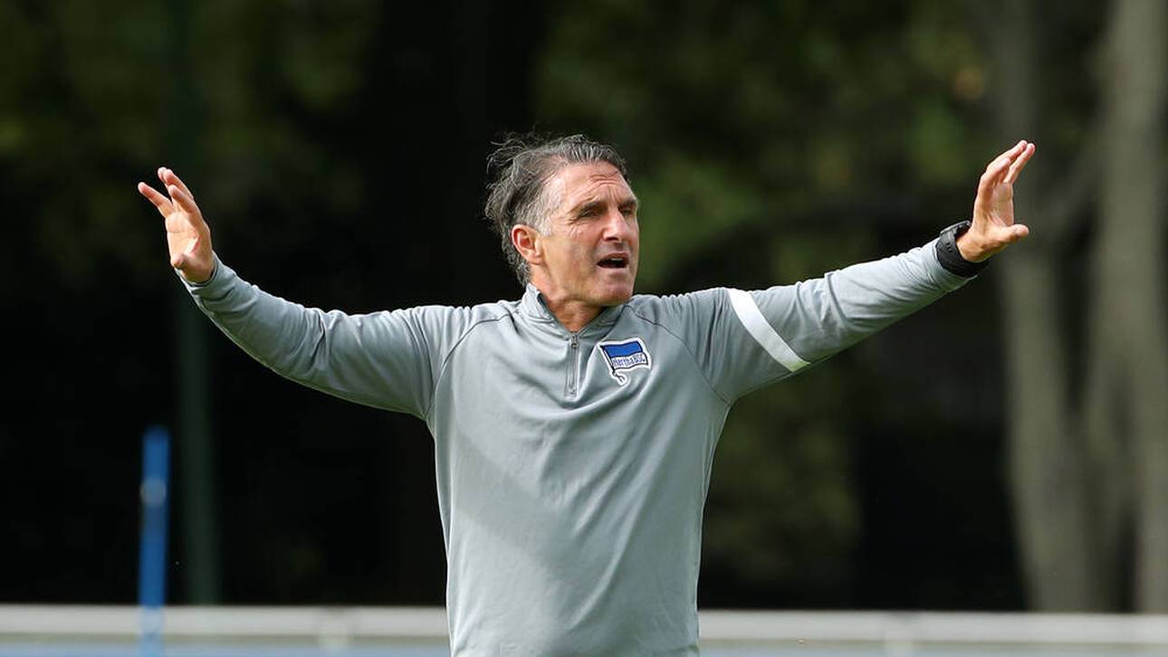 Labbadias Prozess „braucht Zeit“