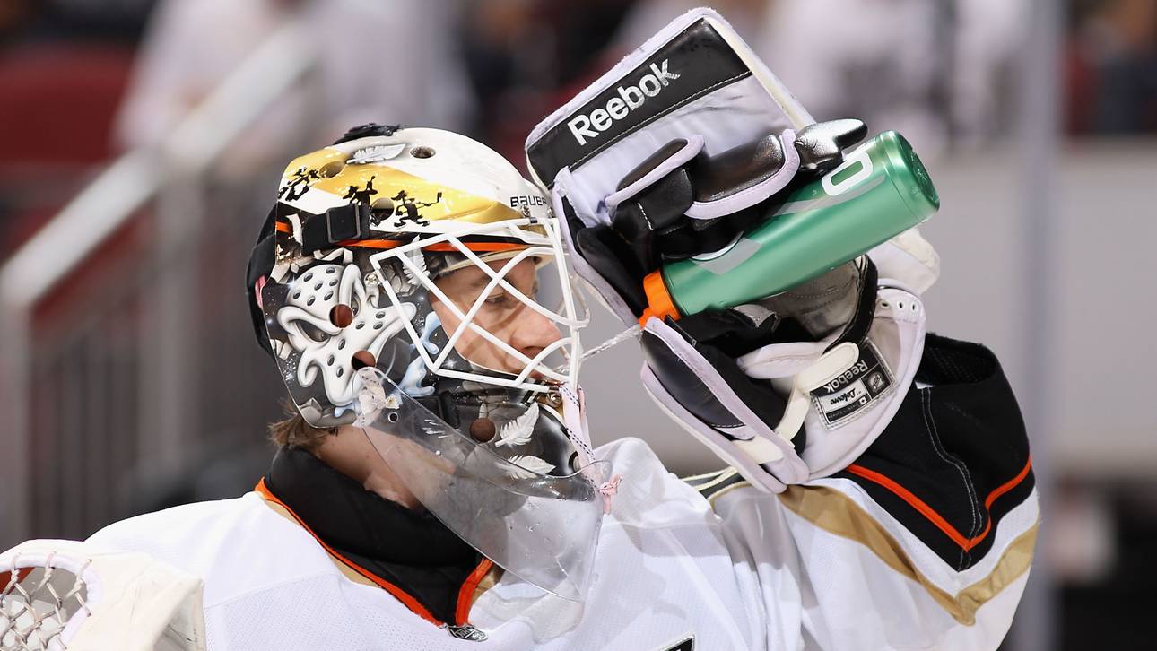 Neuer Torhüter für die Panther