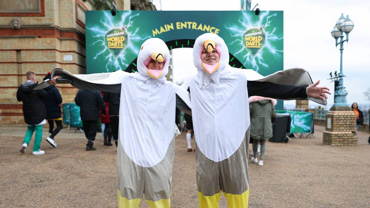 Möwen landen vor dem Ally Pally