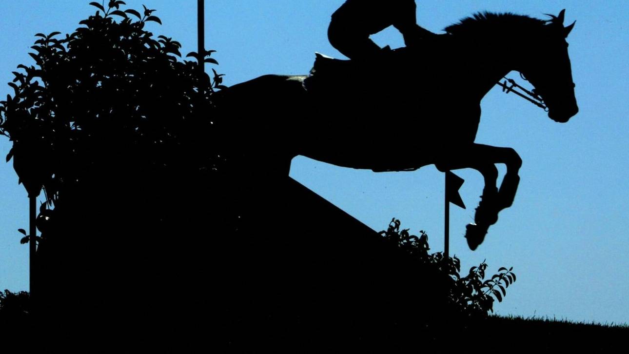 Reiter wollen in Tokio „drei bis fünf Medaillen“