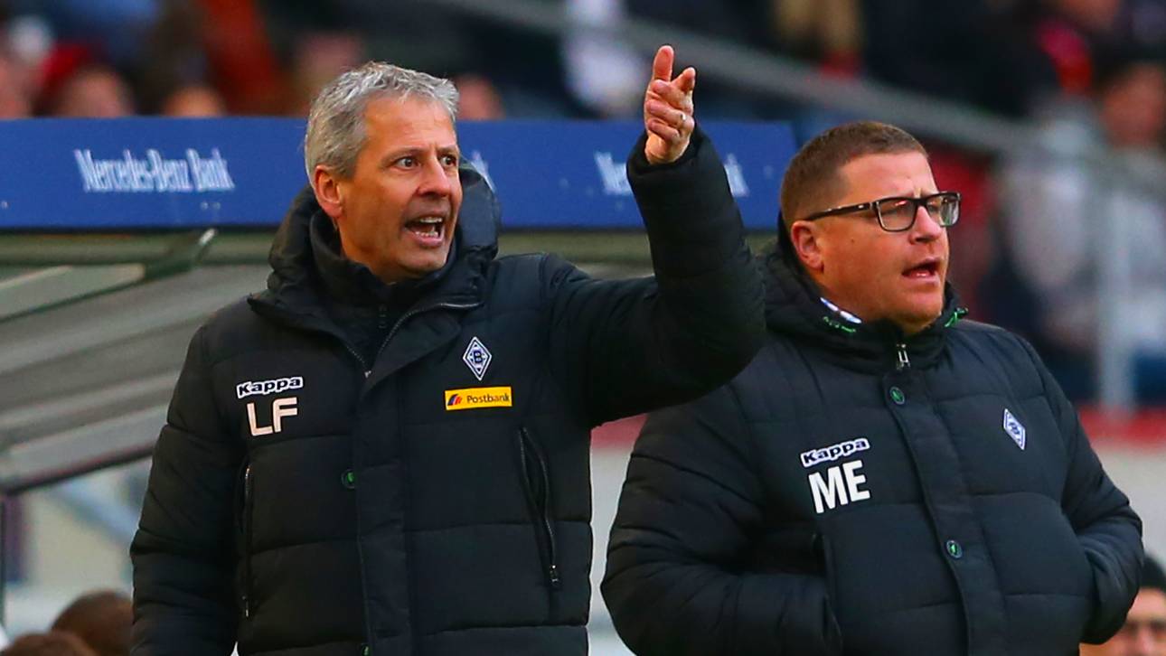 Eberl traut Favre Topklubs zu