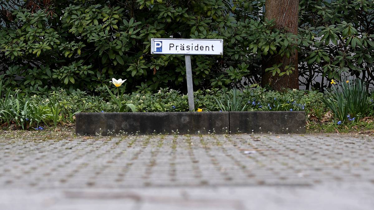 Zwar will der Verband zunächst seine Strukturen reformieren, dennoch soll möglichst ab dem Bundestag am 27. September ein hauptamtlicher Chef an der Spitze stehen