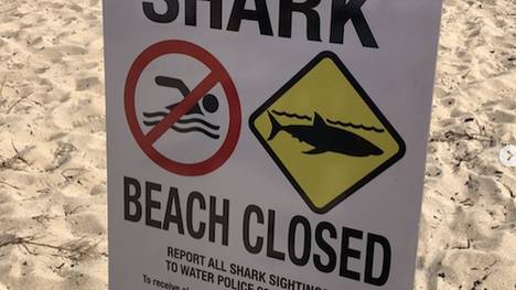 Gleich zwei Haiangriffe an einem Tag in WA