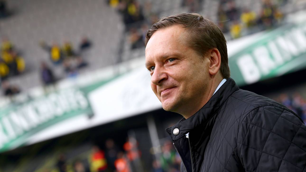 Heldt kündigt Neuzugänge an