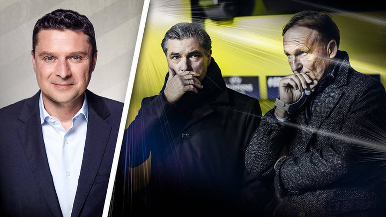 Dortmunds Risiko mit Stöger ist mutig