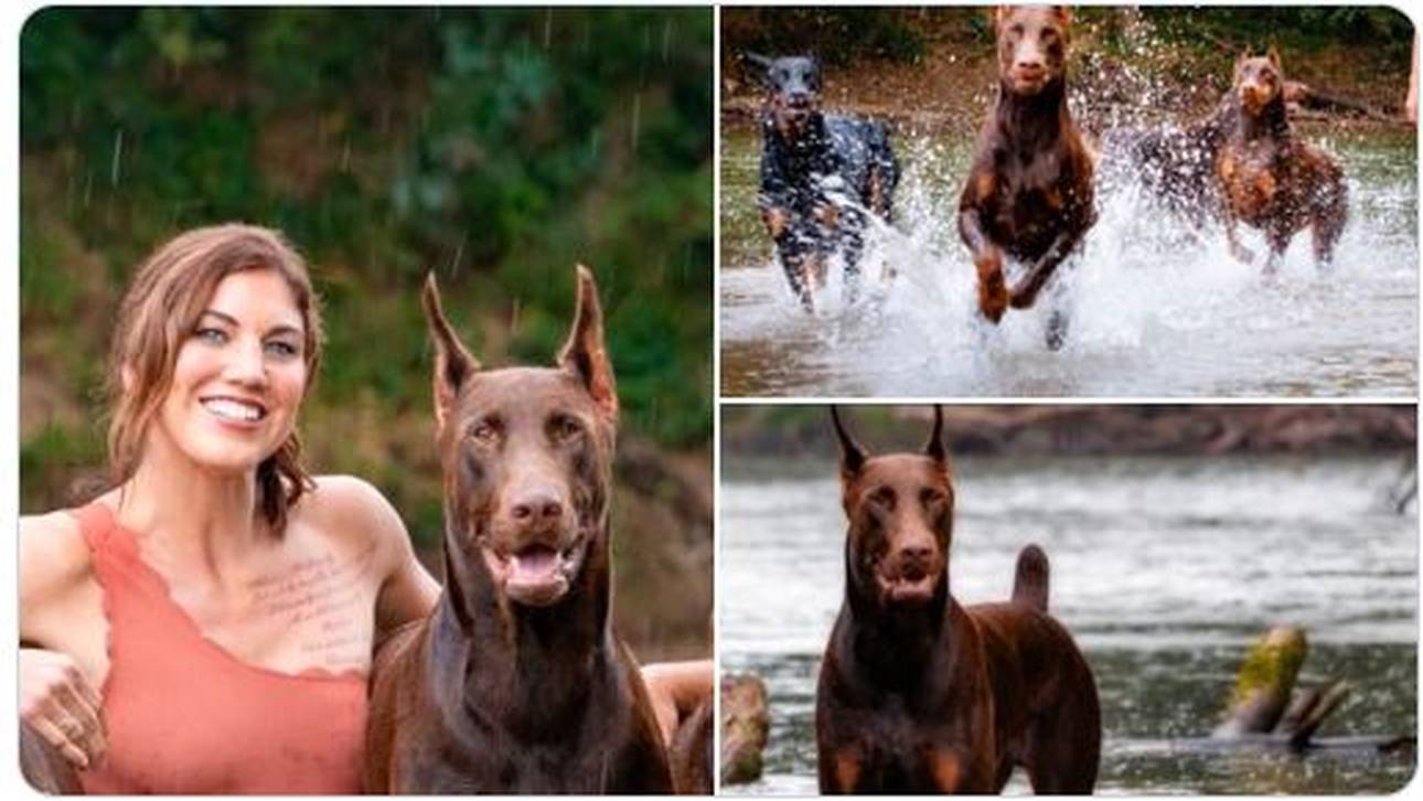 Solos Hund erliegt Schussverletzung