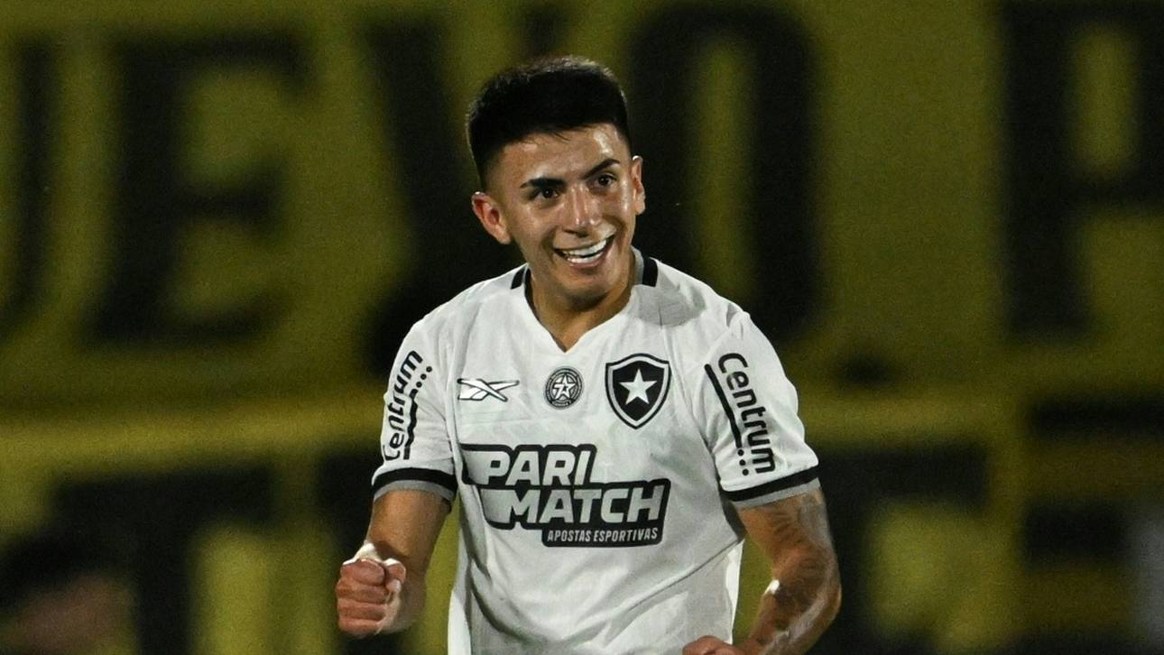 FIFA belegt Botafogo mit Transfersperre