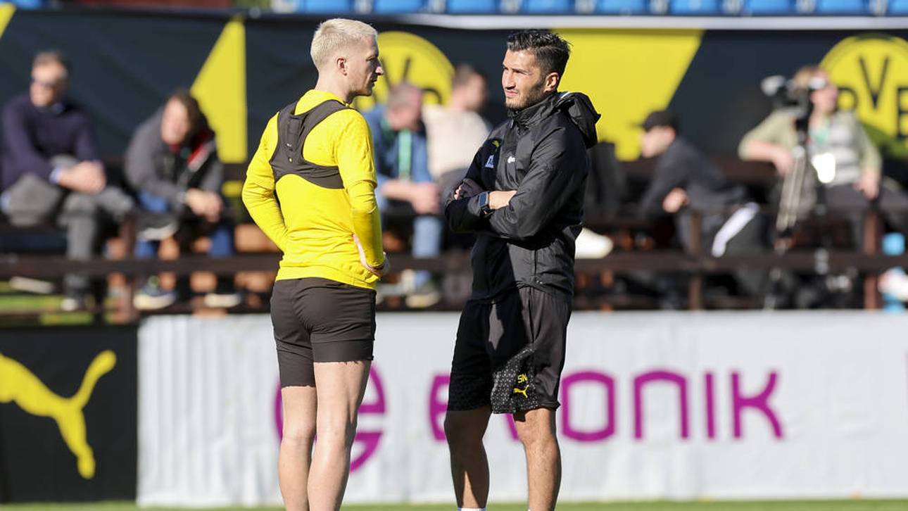 Trainer-Duo? „Bringen frischen Wind“