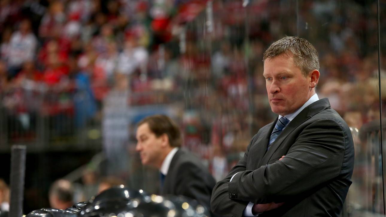 Haie-Chaos: Neuer Coach im Anflug