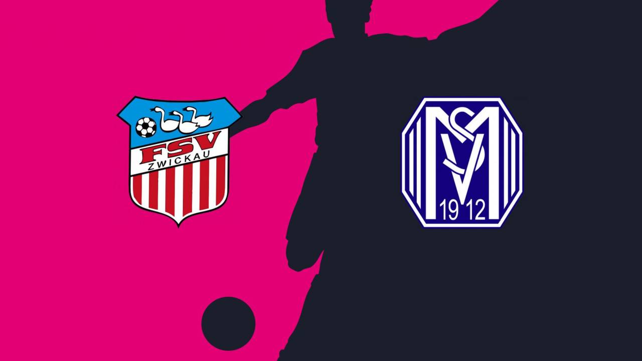FSV Zwickau gegen SV Meppen, 3. Liga, Spieltag 3, Highlights