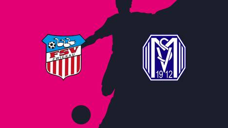 FSV Zwickau gegen SV Meppen, 3. Liga, Spieltag 3, Highlights